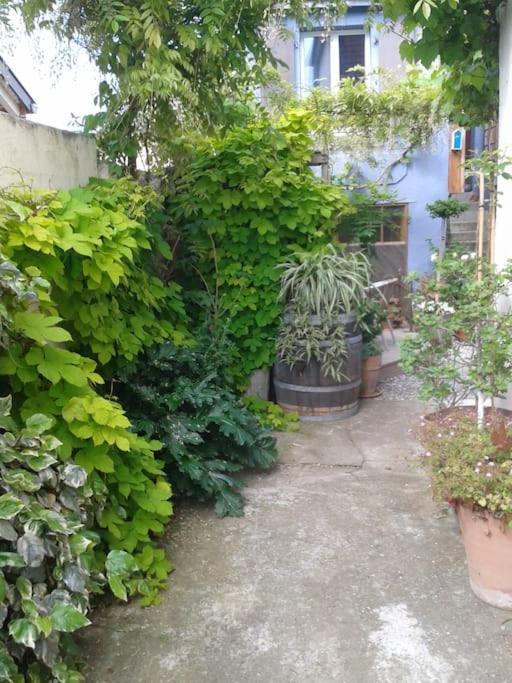 Logement Independant Colmar Exterior foto